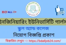 engineering university school & college job circular 2024